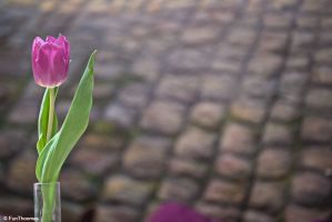 monatstreffen_februar_25_20160215_1295336342_thumb.jpg
Size: 8.96 KB
Created: 2025-09-05 13:59:50
Edited: 2024-09-11 18:07:18
Mime Type: image/jpeg